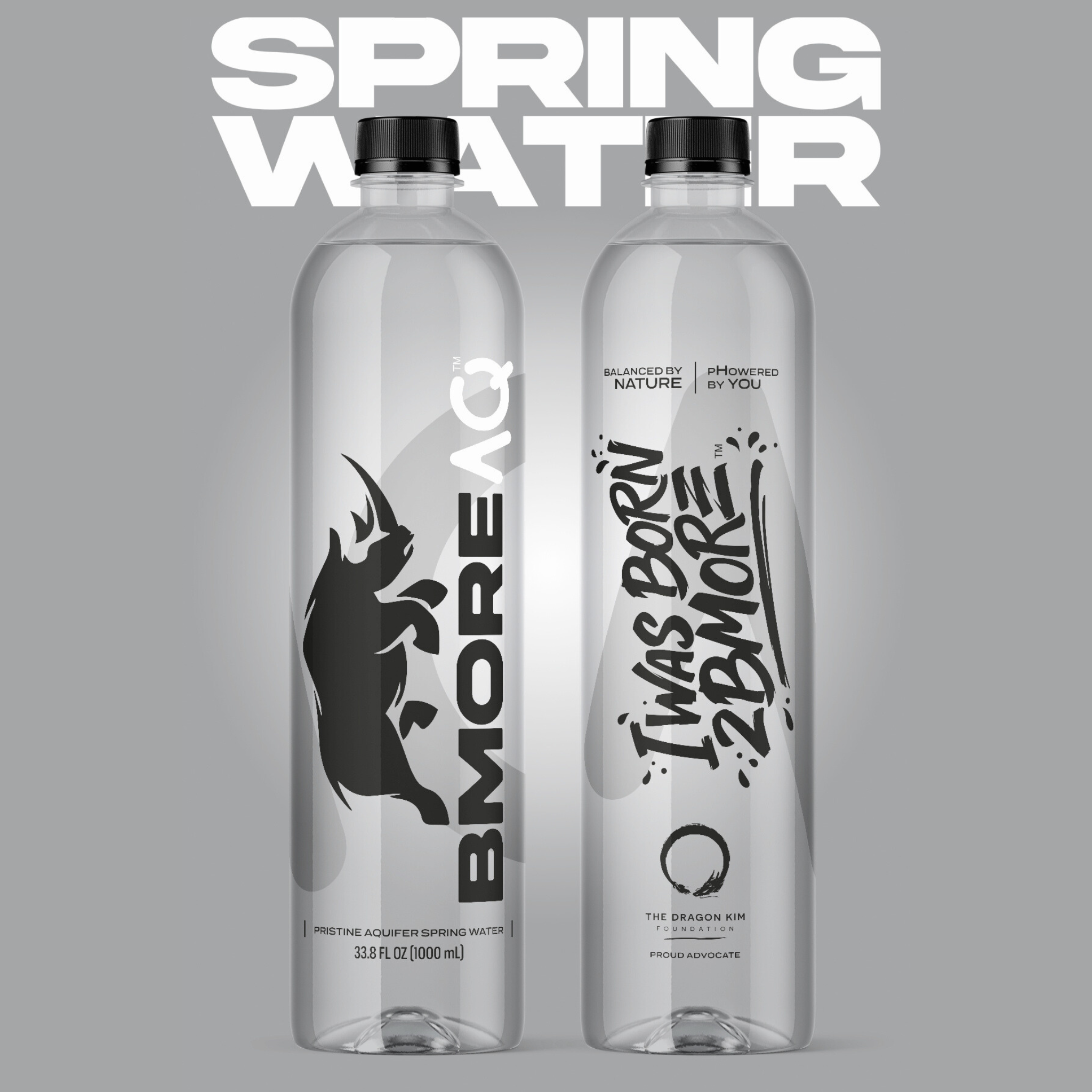 BMORE AQ® - 12 Bottle Pack